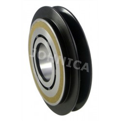 CP-21310